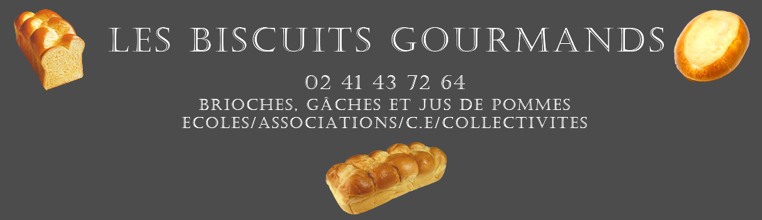 (c) Lesbiscuitsgourmands.fr